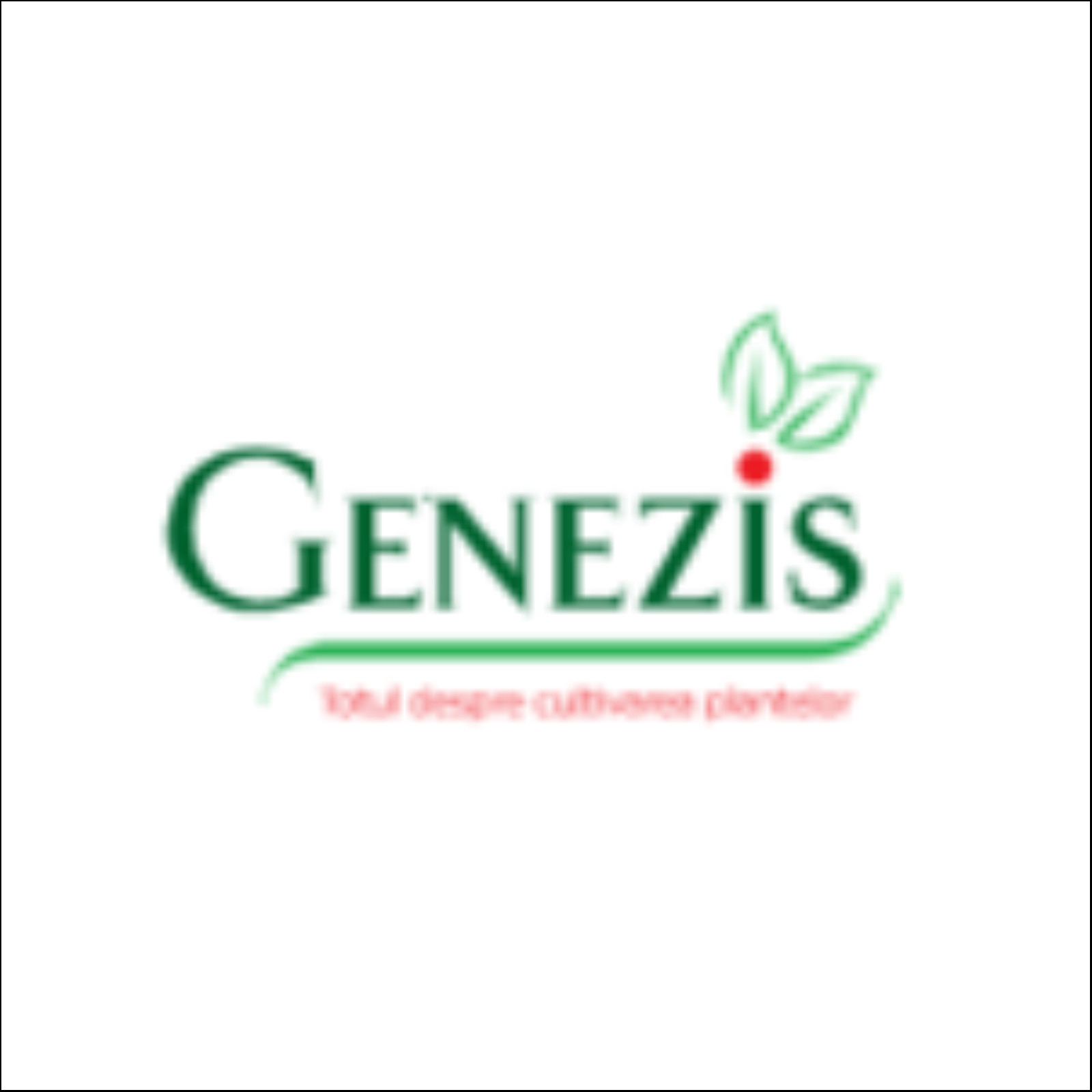 GENEZIS